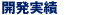開発実績